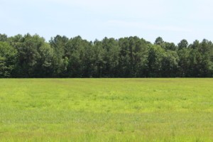 Tech park | Dorchester County EDA