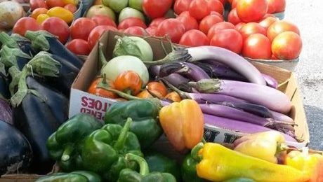 Vegetables | Dorchester County EDA